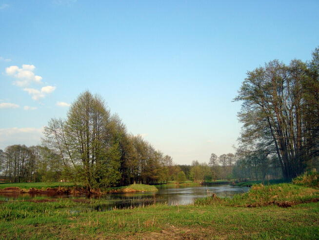 Duży dom na zalesionym terenie ze stawem i dostępem do rzeki