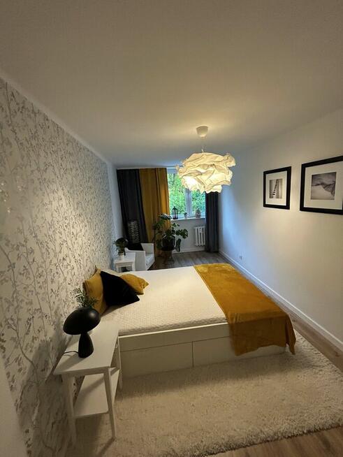 Mieszkanie 2 pokoje po generalnym remoncie