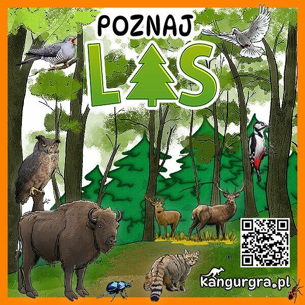 EKOMANIA LAS eko GRA XXL dla DZIECI duży format 3 x 2 metra