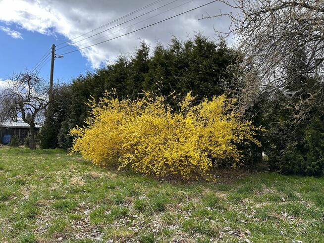 Sprzedam działkę z domem rekreacyjnym
