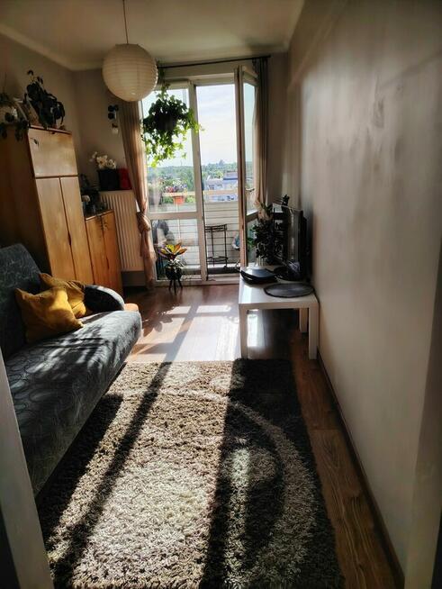 M3 atrakcyjna lokalizacja, piekny widok, niski czynsz,