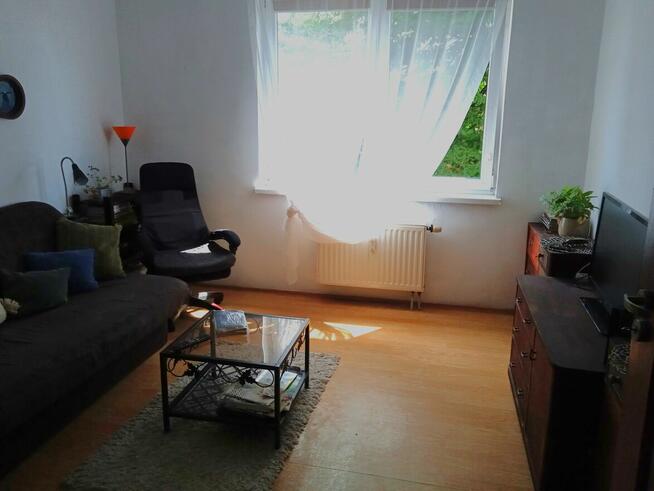 Tanie w utrzymaniu. Spełnia kryteria do dodatku mieszk.