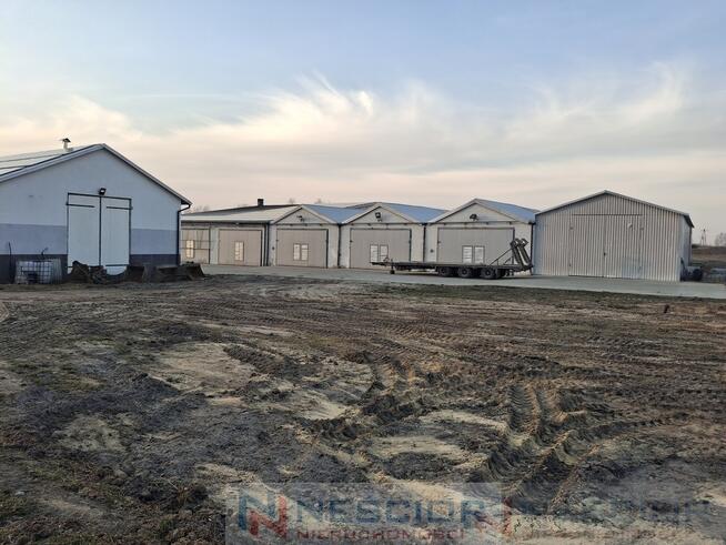 Kompleks budynków gospodarczych po pieczarkarni