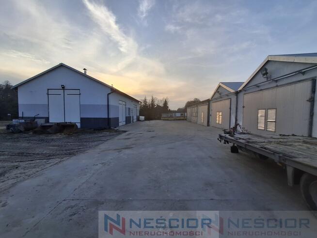 Kompleks budynków gospodarczych po pieczarkarni