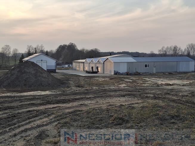 Kompleks budynków gospodarczych po pieczarkarni