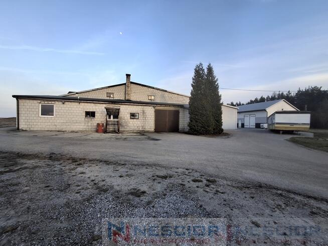 Kompleks budynków gospodarczych po pieczarkarni