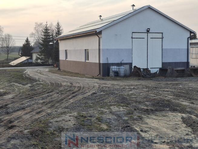 Kompleks budynków gospodarczych po pieczarkarni