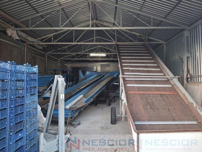 Kompleks budynków gospodarczych po pieczarkarni