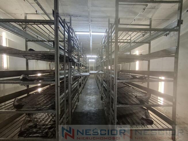 Kompleks budynków gospodarczych po pieczarkarni