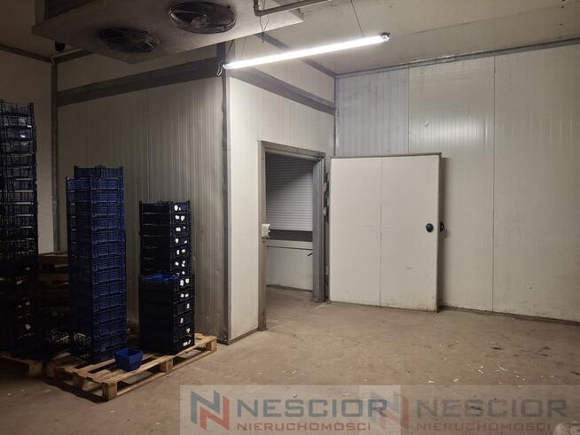 Kompleks budynków gospodarczych po pieczarkarni