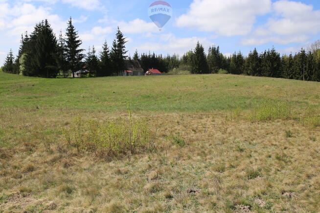 Działka z prywatnym jeziorem i WZ. Mazury 5,3 ha.