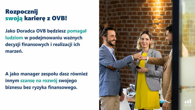 Partnera biznesowego i osób do współpracy w zespole