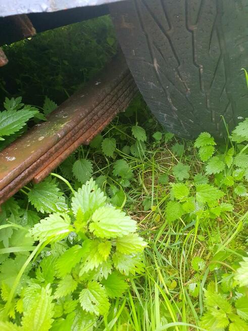 Przyczepka lekka SAM