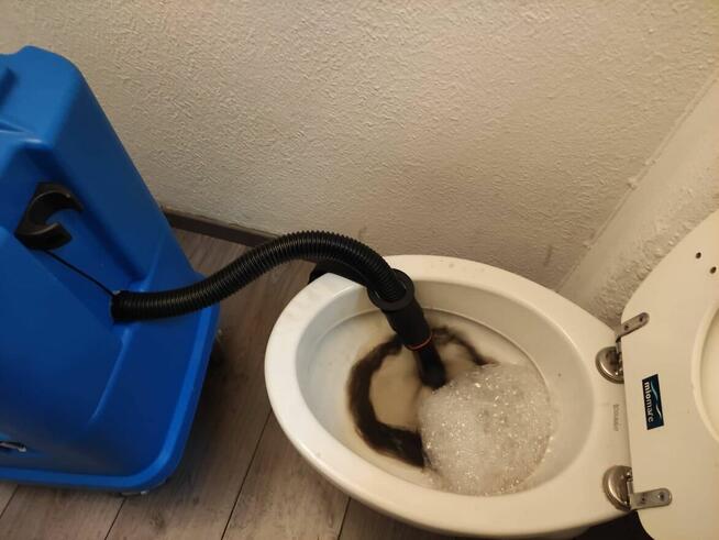 CleanArt TM Profesjonalne Pranie Tapicerki