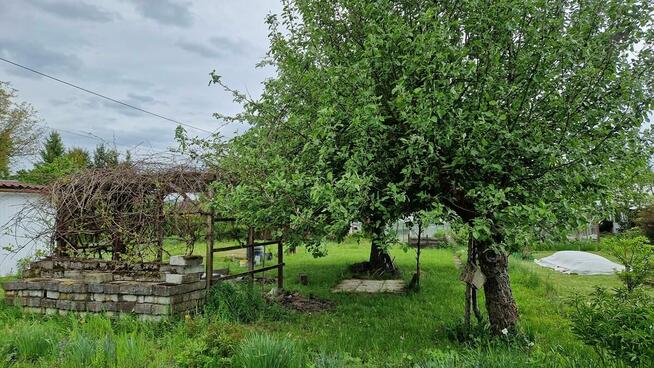 Działka, ogródek działkowy ROD 4 ar (Nowy Sącz Wólki) - sprz