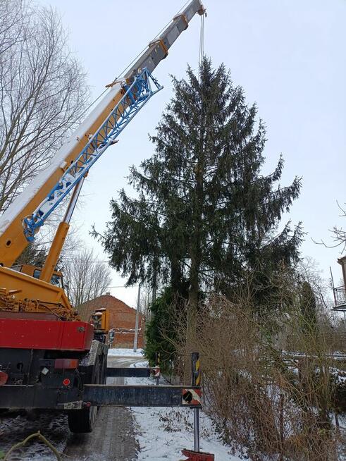 Usługi dźwigowe, dźwig Trzebnica, Oborniki Śląskie, Żmigród