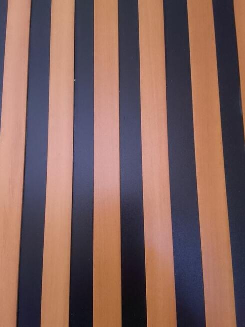 Dom duzy 3x80m kw z przyziemiem w Żywcu