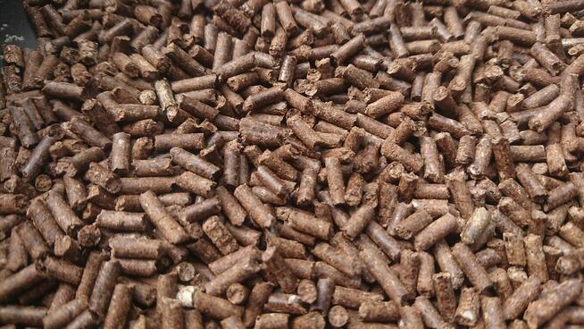 Herbata gryczana Soba Cha 1kg Tatarka Korytowo