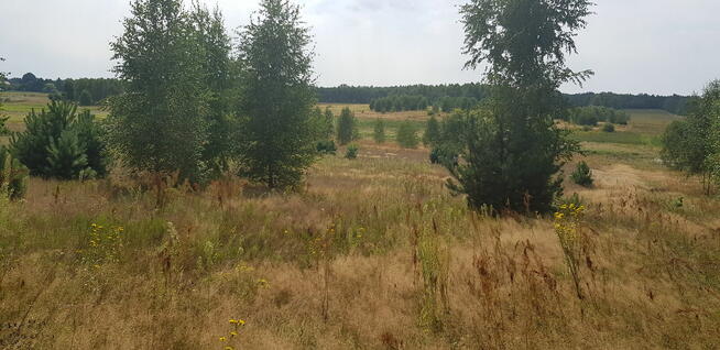 Działka budowlana / rolna, 14 745 m2, warunki zabudowy