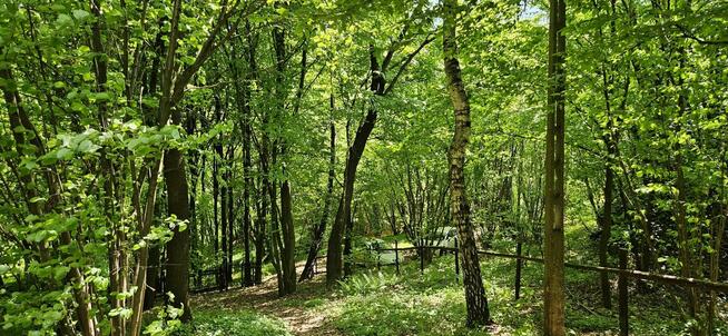 Urokliwa działka 23 ary z domkiem z bali –rezerwat Zimny Dół