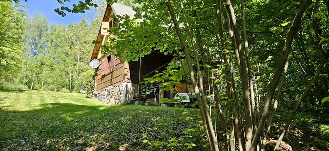 Urokliwa działka 23 ary z domkiem z bali –rezerwat Zimny Dół