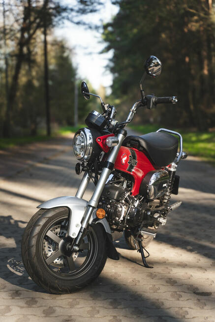 Wynajem motocykla - wypożyczalnia motocykli Szn - Honda dax