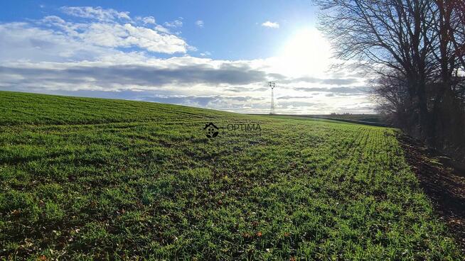 Działka Gościno-Dwór gm. Gościno, Bociania