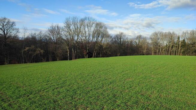 Działka Gościno-Dwór gm. Gościno, Bociania