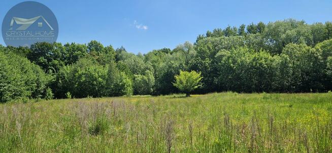 Działka rolna Bojanice gm. Świdnica
