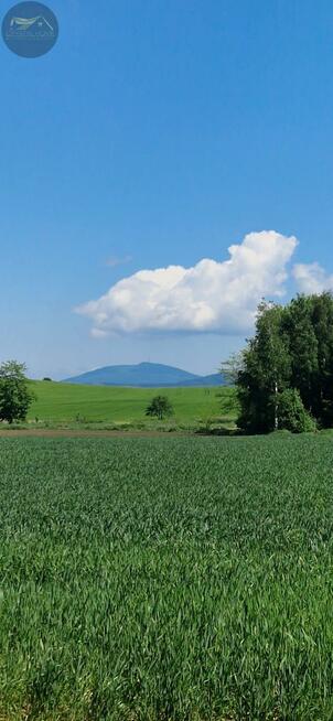 Działka rolna Bojanice gm. Świdnica