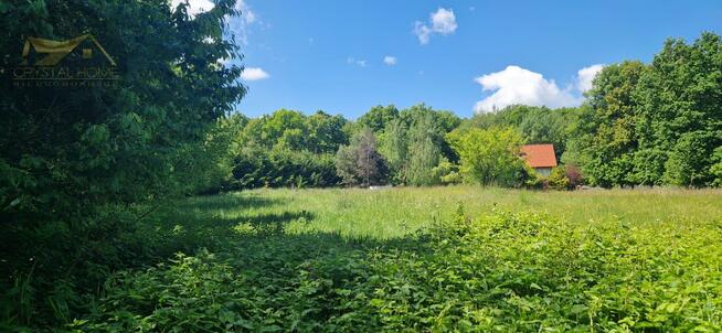 Działka rolna Bojanice gm. Świdnica