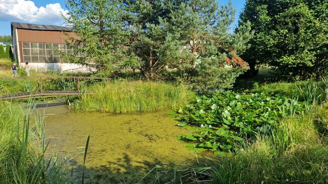 Dom Dębnica Kaszubska, Polna