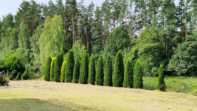 Dom Dębnica Kaszubska, Polna