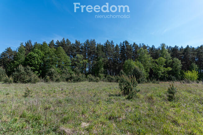 Działka budowlana Kotuń gm.Szydłowo 1196 m2