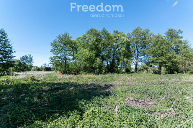 Działka budowlana Kotuń gm.Szydłowo 1650 m2