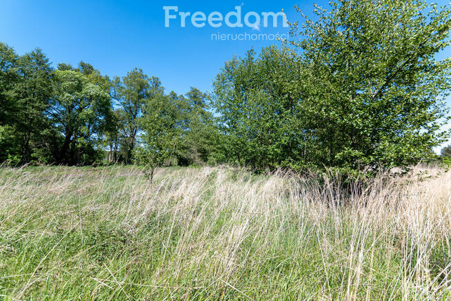 Działka budowlana Kotuń gm.Szydłowo 1650 m2