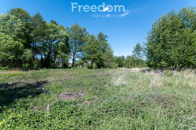 Działka budowlana Kotuń gm.Szydłowo 1650 m2