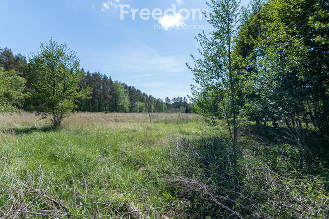 Działka budowlana Kotuń gm.Szydłowo 1650 m2