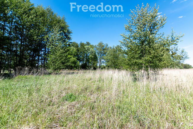 Działka budowlana Kotuń gm.Szydłowo 1650 m2