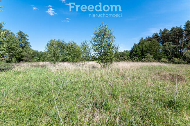 Działka budowlana Kotuń gm.Szydłowo 1650 m2