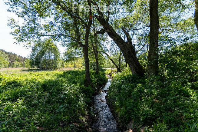 Działka budowlana Kotuń gm.Szydłowo 1650 m2
