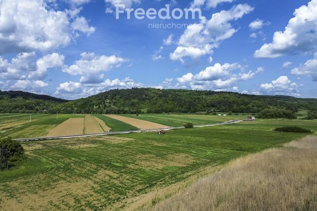 Działka 79 ar z WZ w Bachowie, gm. Krzywcza