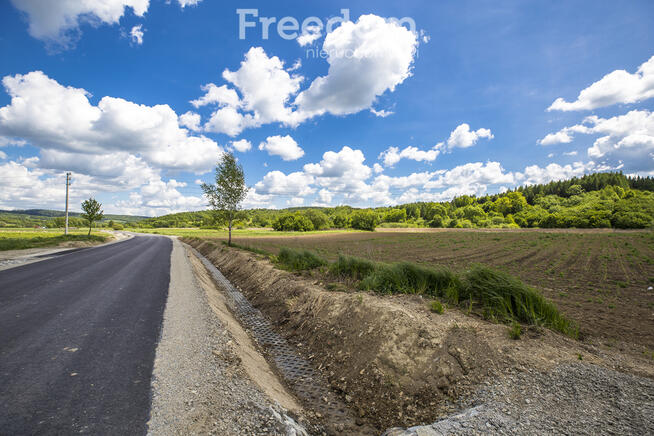 Działka 79 ar z WZ w Bachowie, gm. Krzywcza