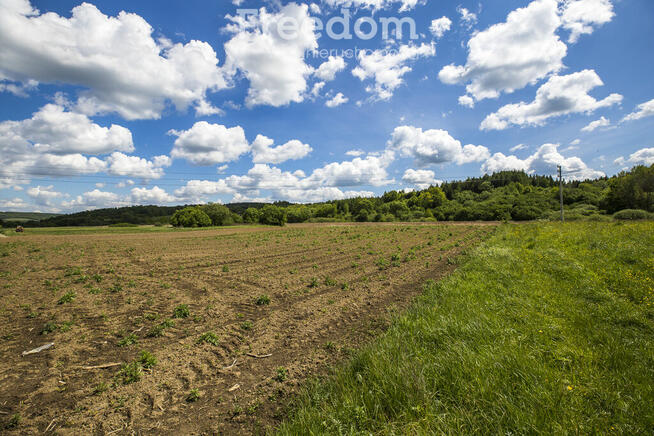 Działka 79 ar z WZ w Bachowie, gm. Krzywcza