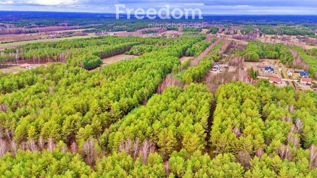 Działki w Kalinowie, Gmina Długosiodło