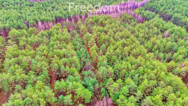 Działki w Kalinowie, Gmina Długosiodło