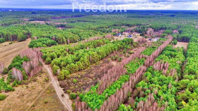 Działki w Kalinowie, Gmina Długosiodło