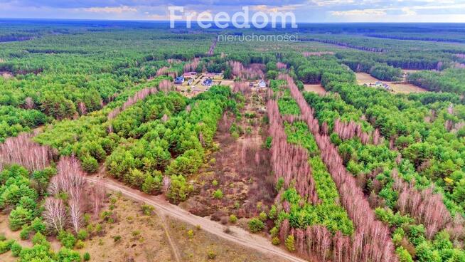 Działki w Kalinowie, Gmina Długosiodło