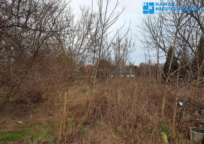 Działka #Kampinoski Park Narodowy #1368 m2