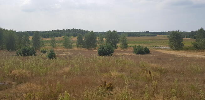 Działka budowlana / rolna, 14 745 m2, warunki zabudowy